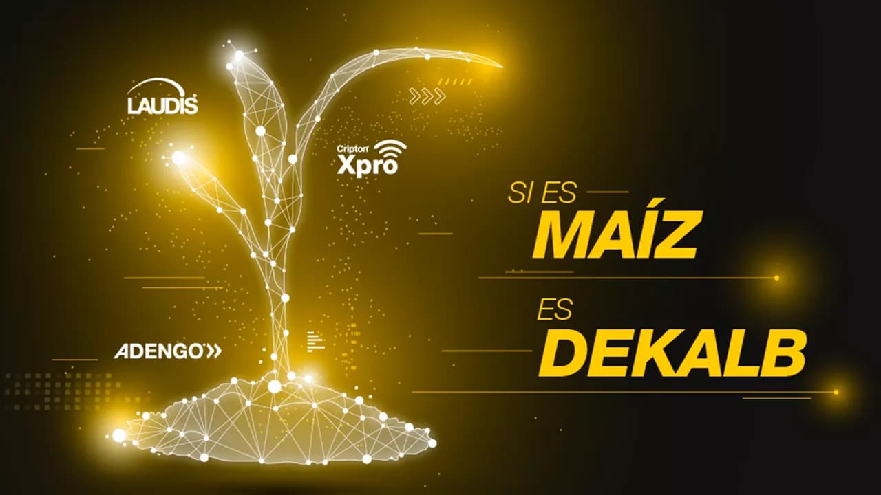 Promo Tools of Si es Maíz, es Dekalb